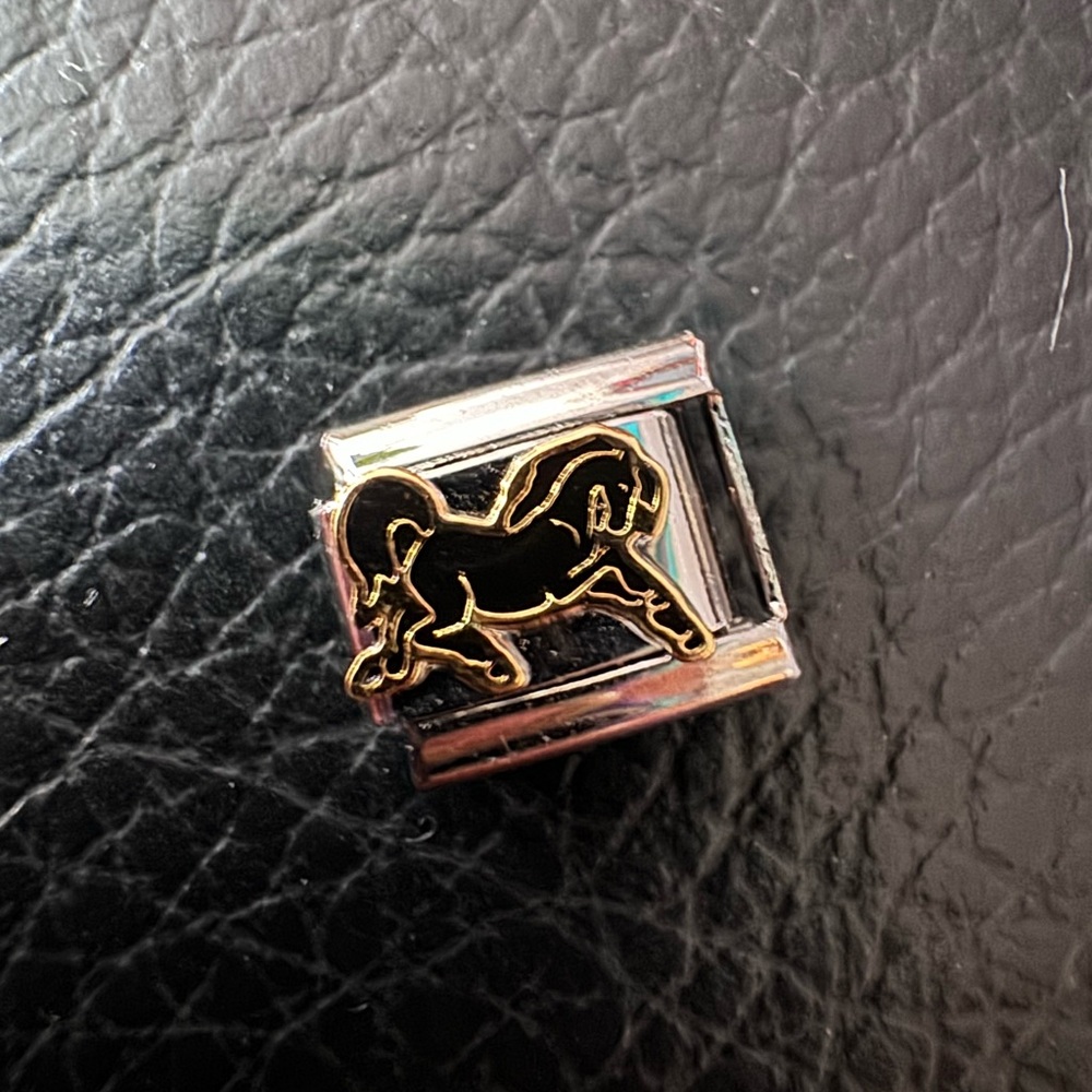 Galloping stallion horse Italian charm